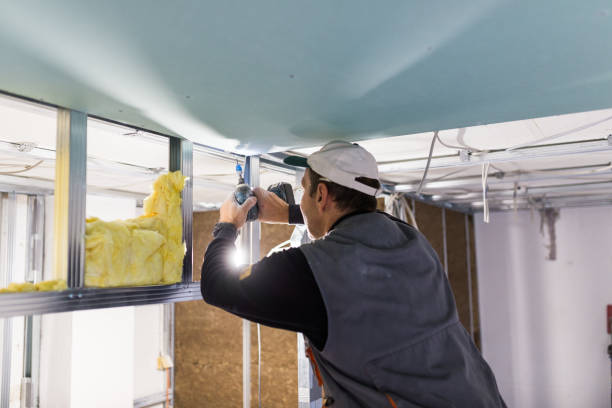 Best Blown-in Insulation in Mililani Mauka, HI