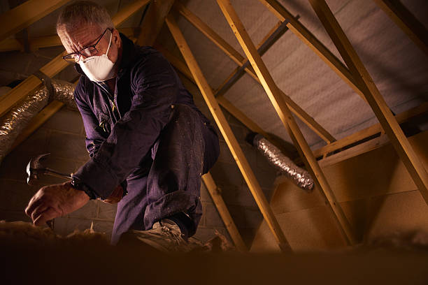 Best Specialized Insulation Services in Mililani Mauka, HI